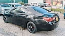Local Used 2010 Toyota Mark X
